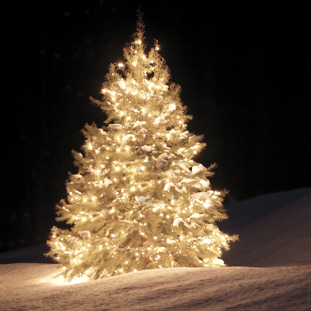 Winter Balsam