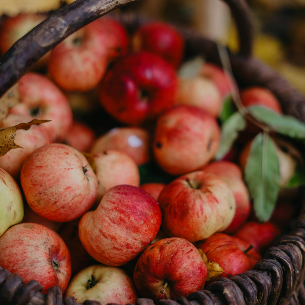 Apple Harvest - Apple and Honey Scent